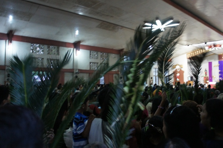 Local parishioners brought mostly oliba leaves to the event.