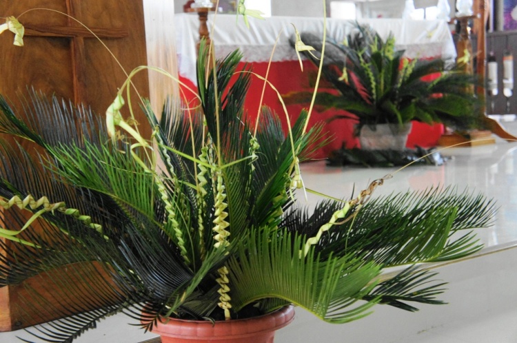 Palm Sunday 2014 in Bulusan